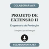Projeto de Extensão II de Engenharia de Produção pronto para entregar