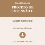 Projeto de Extensão II Gestão Comercial