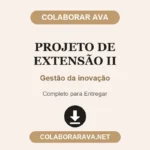 Projeto de Extensão II Gestão da inovação