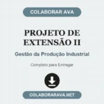 Portfólio Individual Projeto de Extensão II Gestão da Produção Industrial