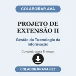 Projeto de Extensão II Gestão da Tecnologia da informação