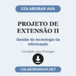 Projeto de extensão II Gestão da tecnologia da informação