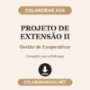 Projeto de Extensão II de Gestão de Cooperativas pronto para entregar