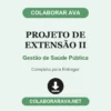 Projeto de Extensão II de Gestão de Saúde Pública pronto para entregar