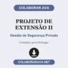 Projeto de Extensão II de Gestão de Segurança Privada pronto para entregar