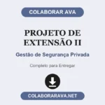 Projeto de Extensão II Gestão de Segurança Privada