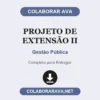 Projeto de Extensão II de Gestão Pública pronto para entregar