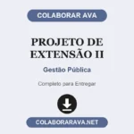 Projeto de Extensão II Gestão Pública