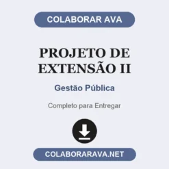 Projeto de Extensão II de Gestão Pública pronto para entregar