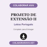 Projeto de extensão II Letras Português