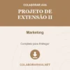Projeto de Extensão II de Marketing pronto para download