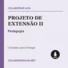 Projeto de Extensão II de Pedagogia pronto para download