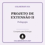 Atividades Complementares Projeto De Extensão II Pedagogia