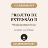 Projeto de Extensão II de Processos Gerenciais pronto para download