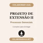 Projeto de Extensão II Processos Gerenciais