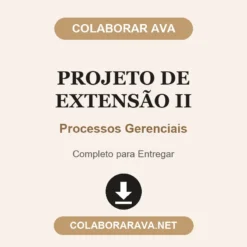 Projeto de Extensão II de Processos Gerenciais pronto para download