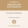 Projeto de Extensão II de Processos Gerenciais pronto para download