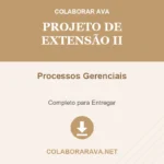 Portfólio Individual Projeto de Extensão II Processos Gerenciais