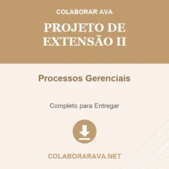 Projeto de Extensão II de Processos Gerenciais pronto para download