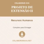 Portfólio Individual Projeto de Extensão II Recursos Humanos