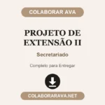Projeto de Extensão II Secretariado