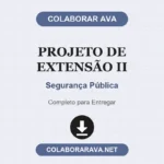 Projeto de Extensão II Segurança Pública