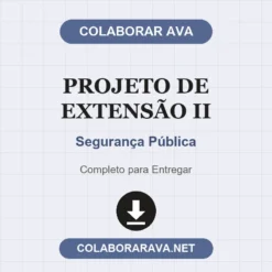 Projeto de Extensão II de Segurança Pública pronto para download