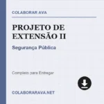 Portfólio Individual Projeto de extensão II Segurança Pública