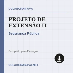 Projeto de Extensão II de Segurança Pública pronto para download
