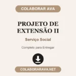 Projeto de Extensão II Serviço Social