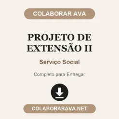 Projeto de Extensão II de Serviço Social pronto para entregar