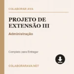 Projeto de Extensão III Administração