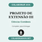 Projeto de Extensão III Ciências Contábeis