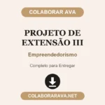 Projeto de Extensão III Empreendedorismo
