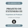 Projeto de Extensão III de Engenharia de Produção pronto para entregar