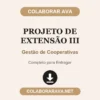 Projeto de Extensão III de Gestão de Cooperativas pronto para entregar