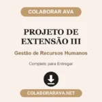 Projeto de Extensão III Gestão de Recursos Humanos