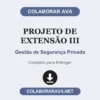 Projeto de Extensão III de Gestão de Segurança Privada pronto para entregar