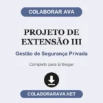 Projeto de Extensão III Gestão de Segurança Privada