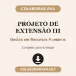 Projeto de Extensão III Gestão em Recursos Humanos