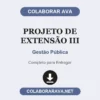 Projeto de Extensão III de Gestão Pública pronto para entregar