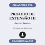 Projeto de Extensão III Gestão Pública