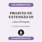 Projeto de extensão III Letras Português