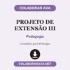 Projeto de Extensão III de Pedagogia pronto para entregar