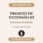 Projeto de Extensão III Processos Gerenciais