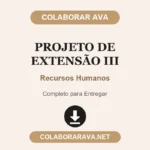 Projeto de Extensão III Recursos Humanos