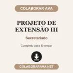 Projeto de Extensão III Secretariado