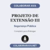 Projeto de Extensão III de Segurança Pública pronto para entregar