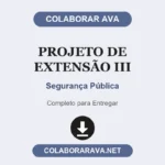 Projeto de Extensão III Segurança Pública