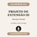 Projeto de Extensão III Serviço Social